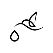 Colibri Tattoo and Piercing Ottawa